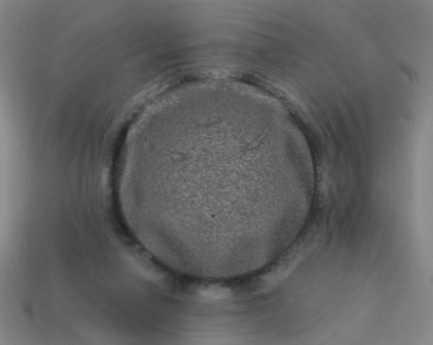 X0000114120258200910191729