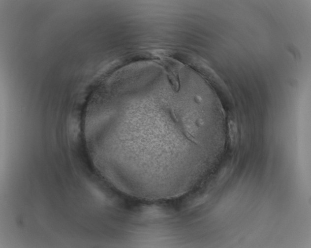 X0000114120259200910191729