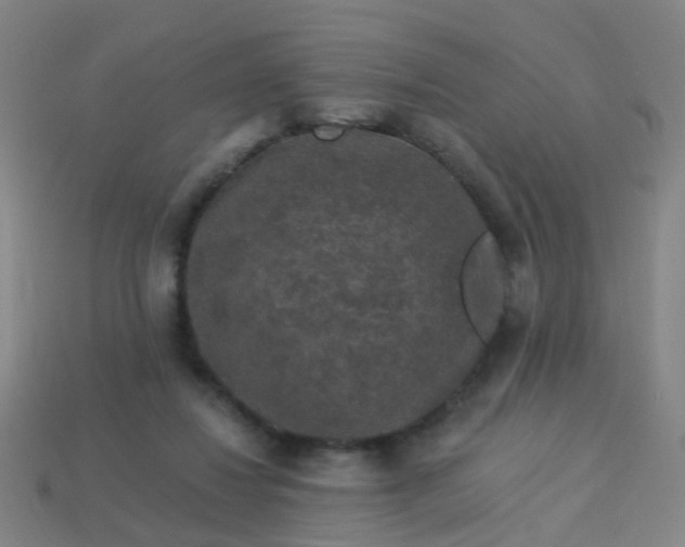 X0000114120260200910191729