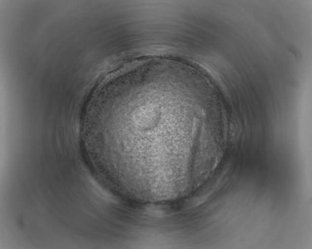 X0000114120261200910191729