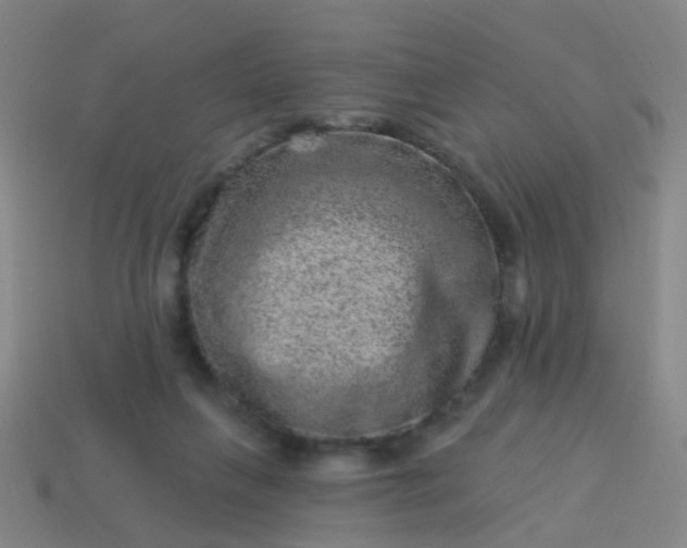 X0000114120263200910191729