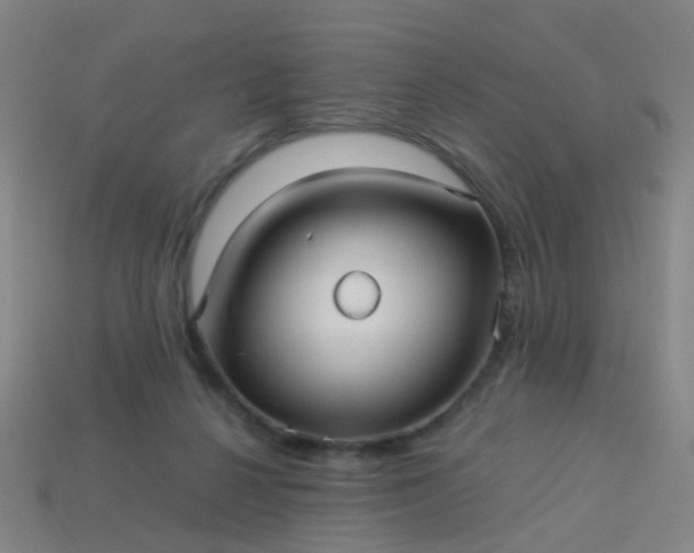 X0000114120264200910191729