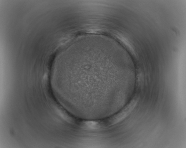 X0000114120265200910191729