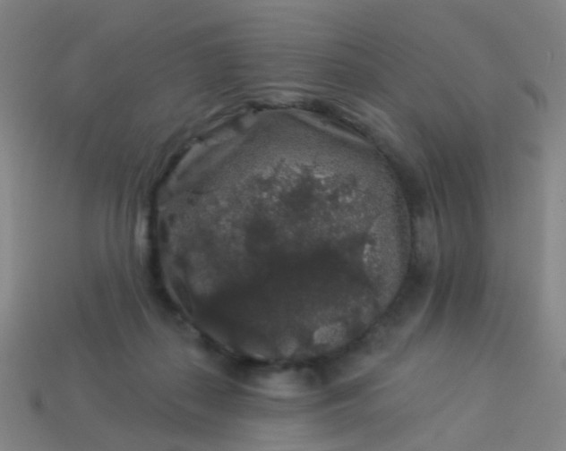 X0000114120267200910191729