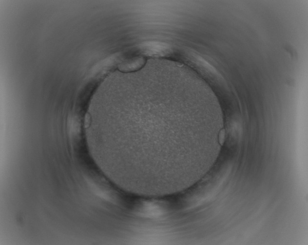 X0000114120268200910191729