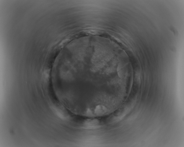 X0000114120271200910191729