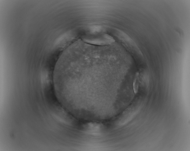 X0000114120272200910191729