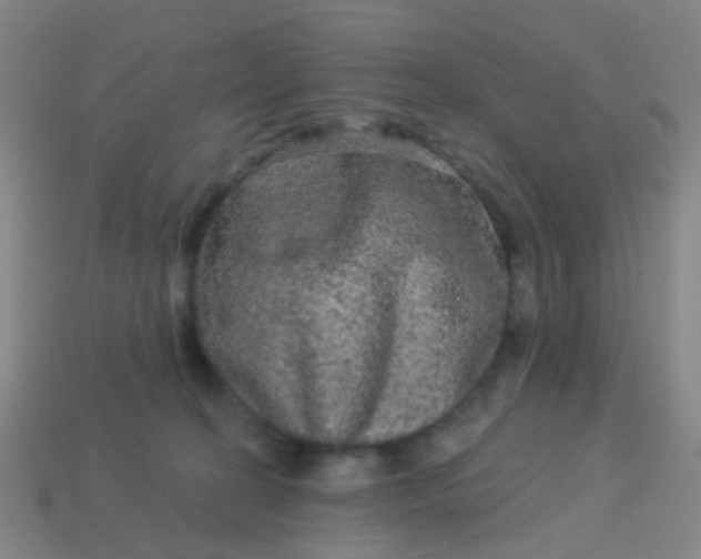 X0000114120274200910191729