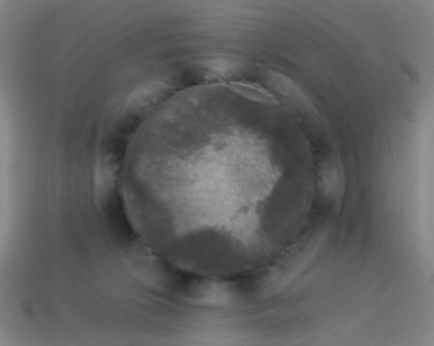 X0000114120276200910191729