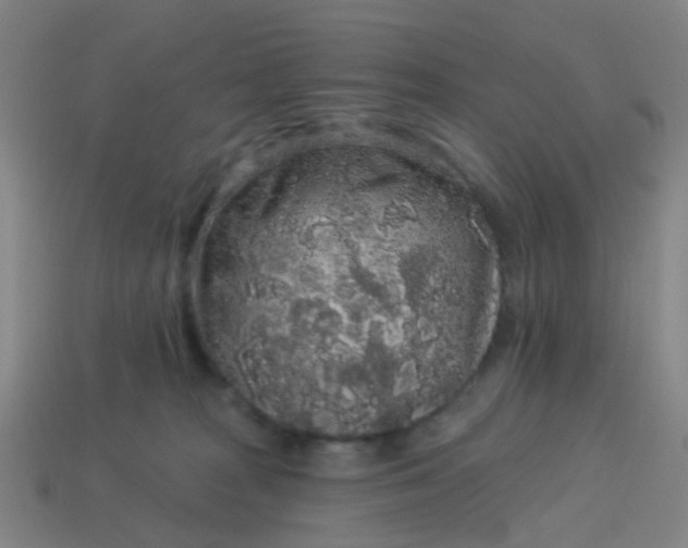 X0000114120277200910191729