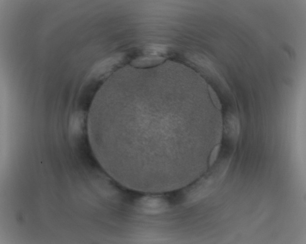 X0000114120280200910191729