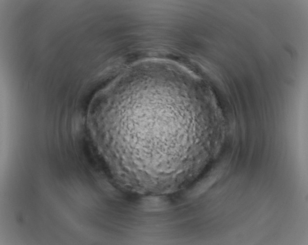 X0000114120281200910191729