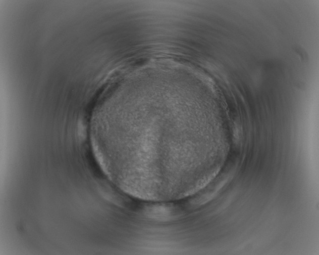 X0000114120282200910191729