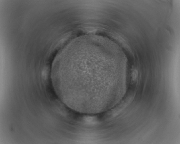 X0000114120283200910191729