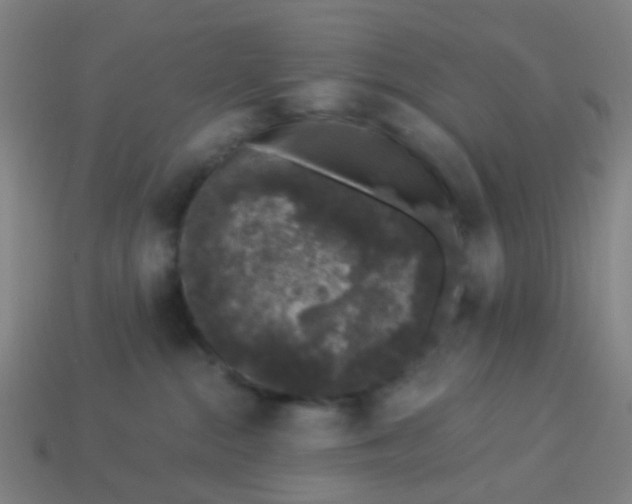 X0000114120284200910191729