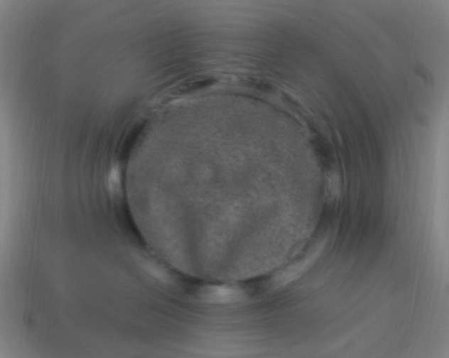 X0000114120286200910191729