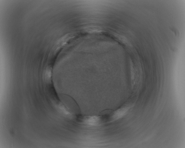 X0000114120288200910191729