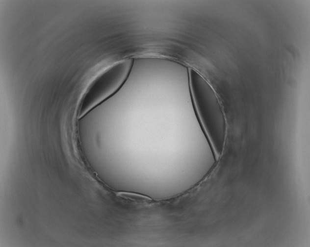 X0000114120289200910191729