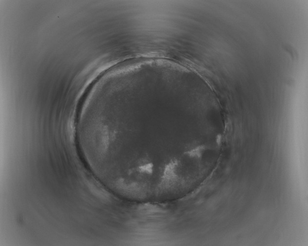 X0000114120290200910191729