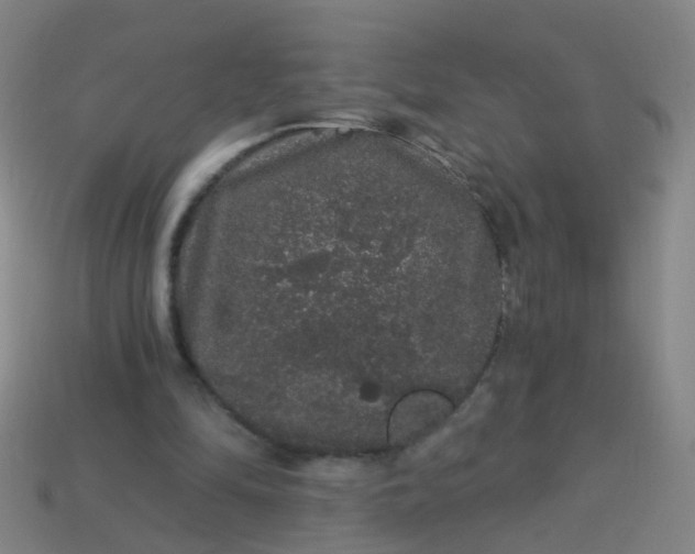 X0000114120294200910191729