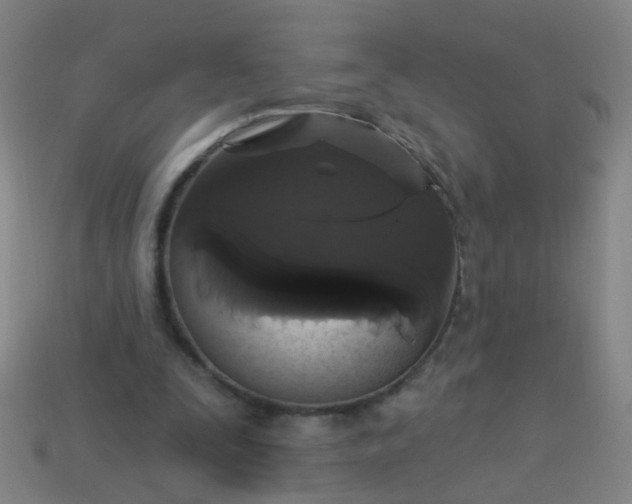 X0000114120295200910191729