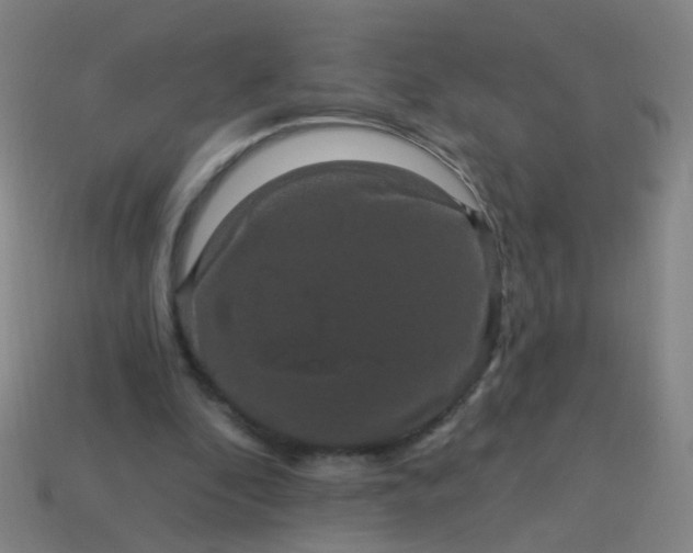 X0000114120296200910191729