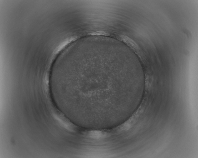 X0000114120298200910191729