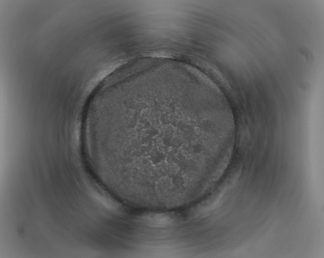 X0000114120299200910191729