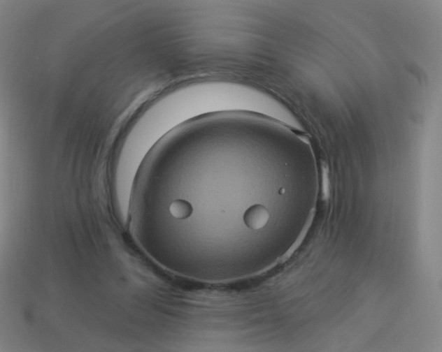 X0000114120300200910191729