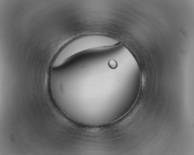 X0000114120301200910191729