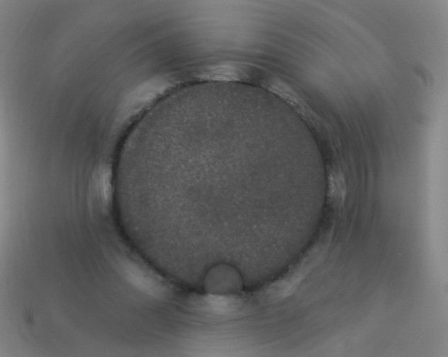 X0000114120302200910191729