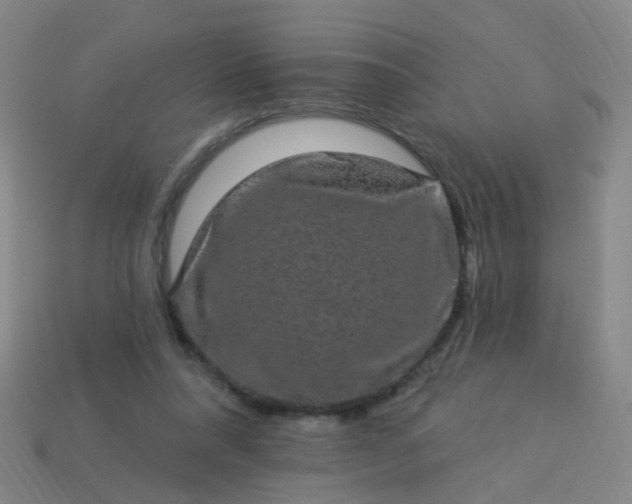 X0000114120304200910191729