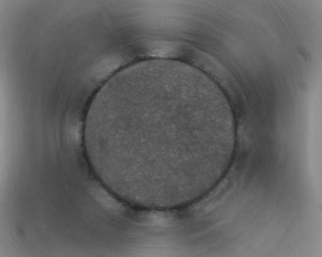 X0000114120305200910191729