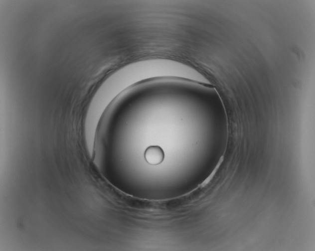 X0000114120308200910191729