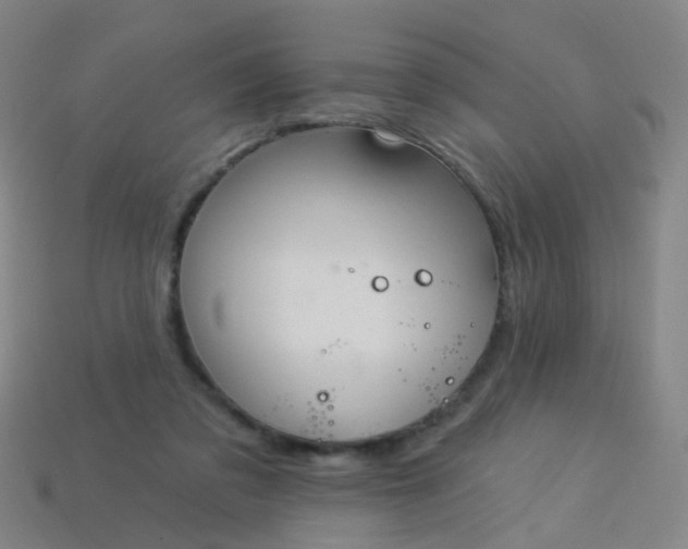 X0000114120309200910191729