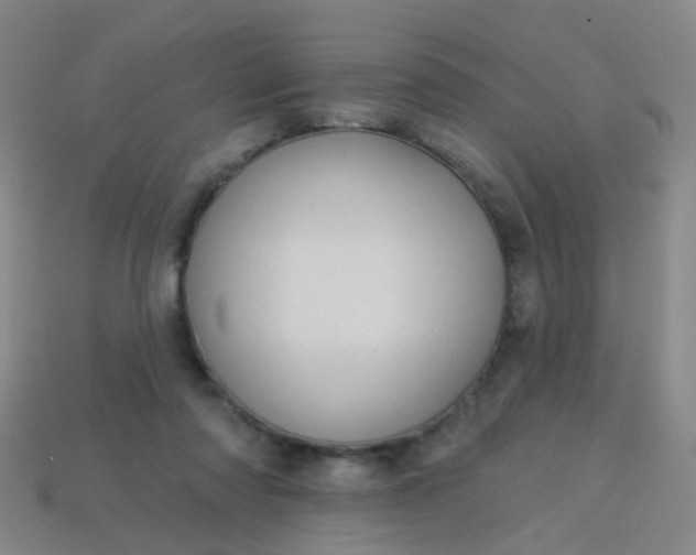 X0000114120310200910191729