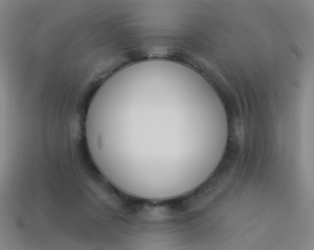 X0000114120311200910191729