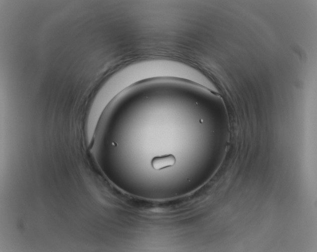 X0000114120312200910191729