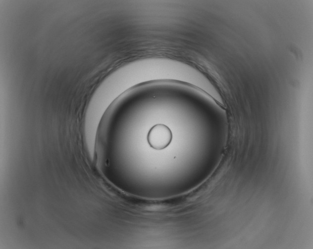 X0000114120313200910191729