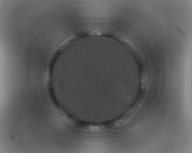 X0000114120314200910191728