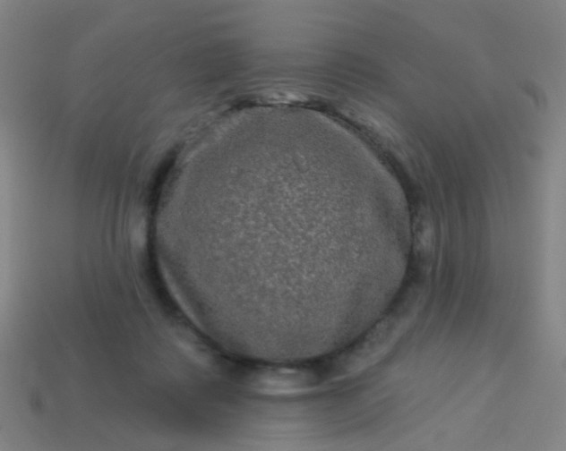 X0000114120315200910191728