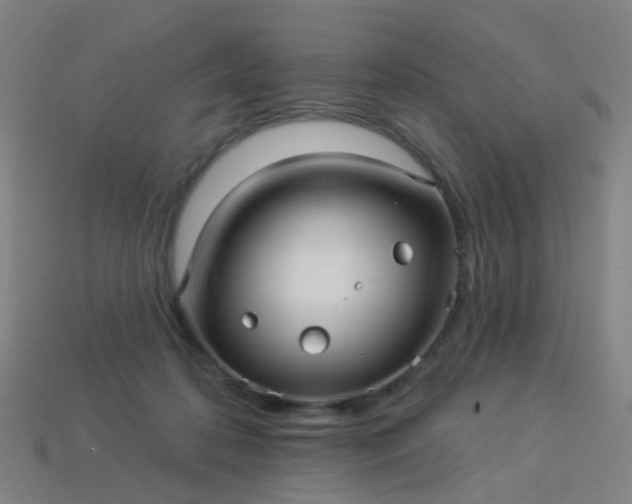 X0000114120316200910191728