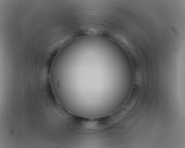 X0000114120318200910191728