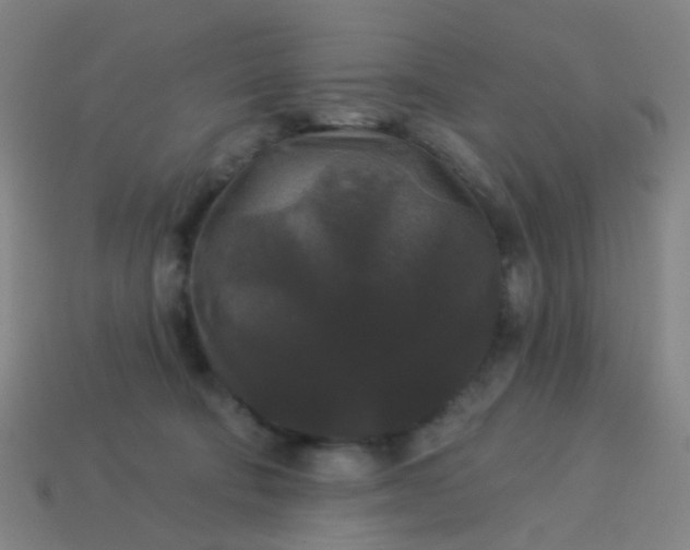 X0000114120322200910191728