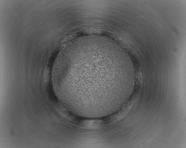 X0000114120323200910191728