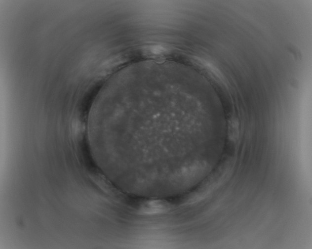 X0000114120324200910191728