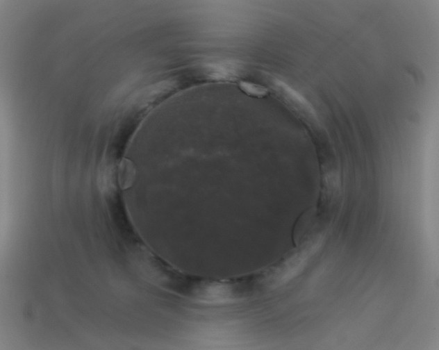 X0000114120325200910191728