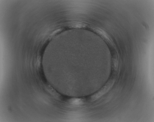 X0000114120326200910191728