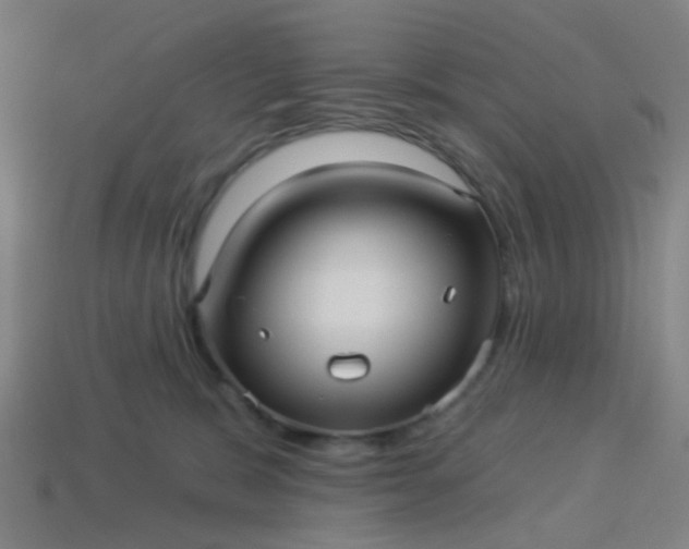 X0000114120327200910191728