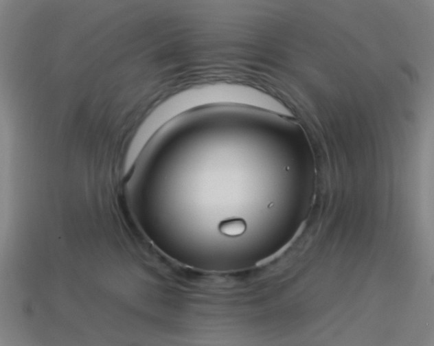 X0000114120328200910191728